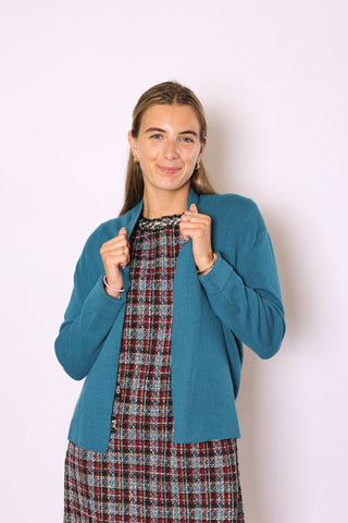 Woman wearing a blue jacket over a plaid dress against a white background